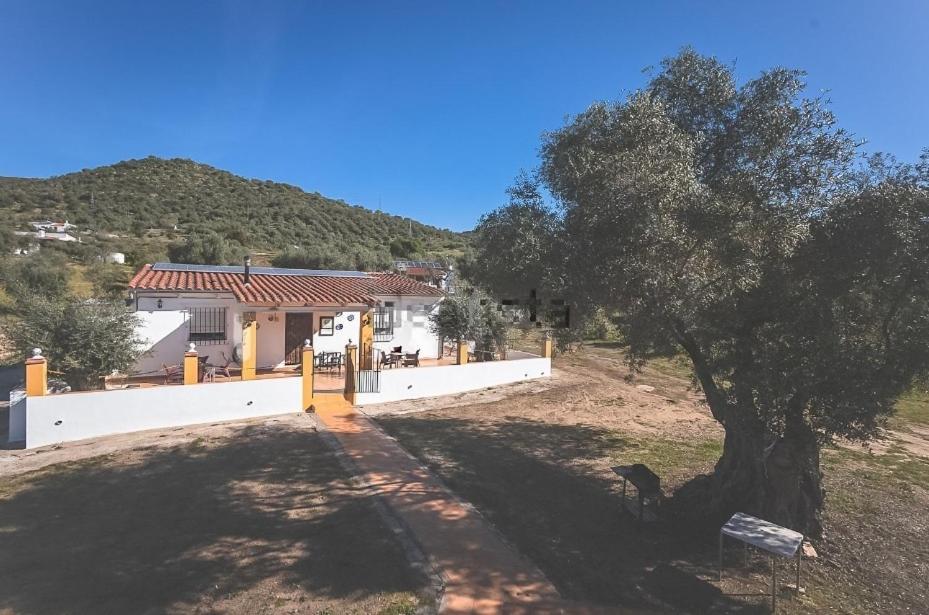 Casa Rural Los Naranjo Jerez De Los Caballeros Eksteriør billede